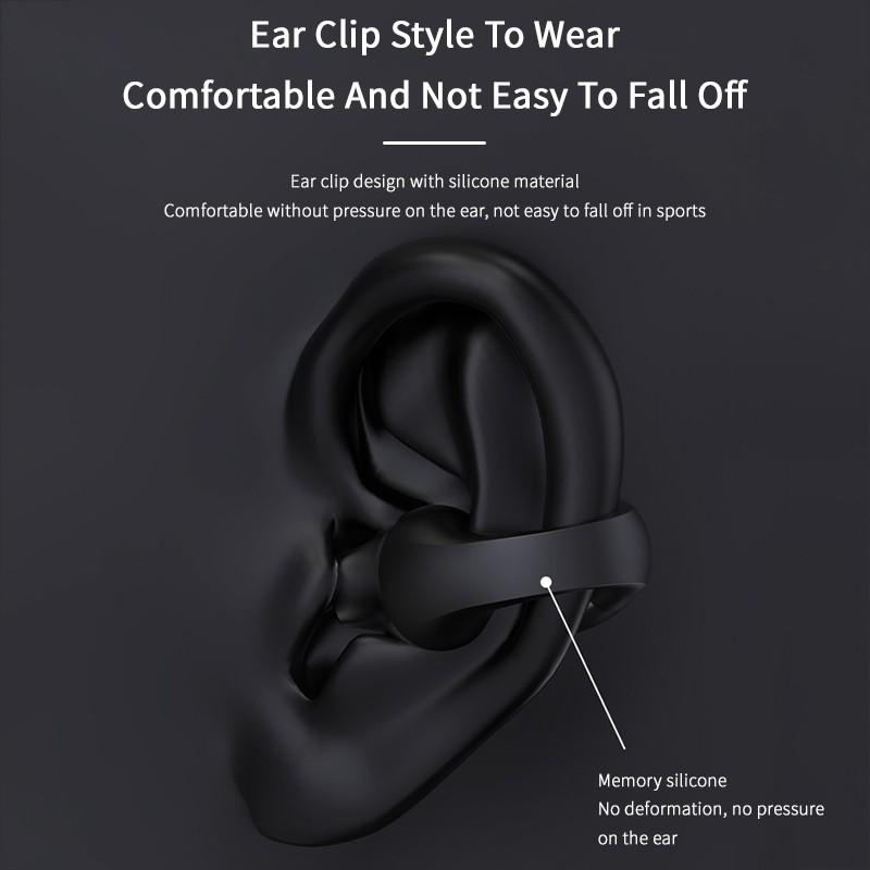Noise-Isolating Earphones - Image 5